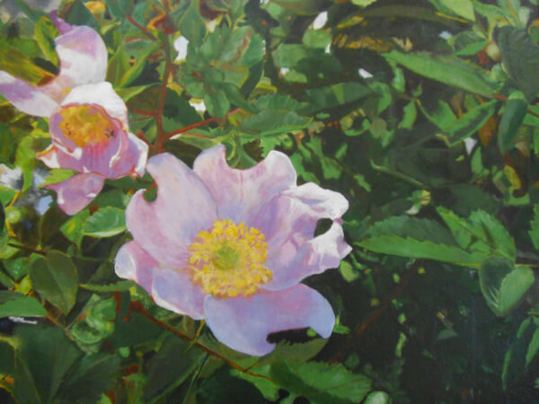 Sue Eberhardt Artist