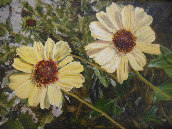 Sue Eberhardt Artist