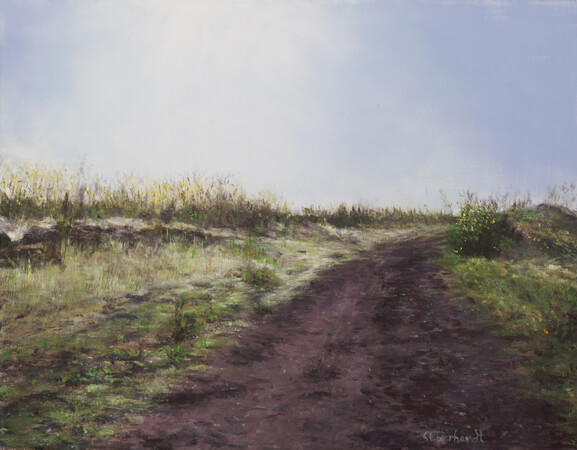 Sue Eberhardt Artist